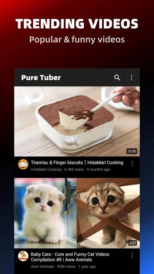 Pure Tuber Block Ads on Video MOD APK